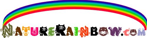 Nature Rainbow